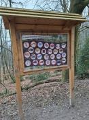 Müll im Wald