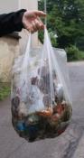 Cache in, Trash out - eine volle Tüte Müll entlang der Wege, von Burgwalden aus knapp 15 km quer durch die Westlichen Wälder!