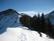 Schneidjoch