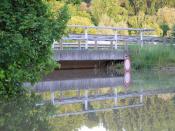 Hochwasser im Juni 2013