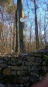 Mur du Château de Vieux Jardin