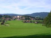 Blick zur Burgruine Kollnburg