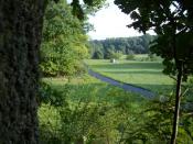Blick vom Cache auf den Weg