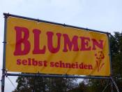 Blumen selbst schneiden