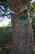 Auf dem Weg von Annweiler am Trifels zur Klettererhütte