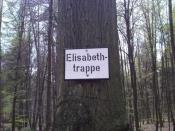 Schild