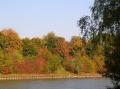 Herbst am Kanal