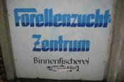 Forellenzucht