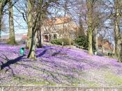 Luther Park im Frühling