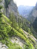 Der Jägersteig oberhalb der Schlucht