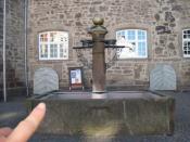 Logbeispielfoto mit Finger