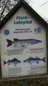 Fisch-Lehrpfad