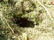 Nähe Cache