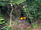 Der Fels unter dem der Cache versteckt ist