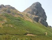 Strada attraverso la felce alla vetta