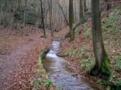 Landgrafenschlucht 1