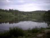 Stausee in Großarmschlag