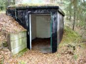 Mysteriöser Bunker an der Waldlichtung