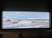 View from the hut (without birds)