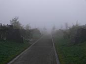 Koboldschlucht im Nebel