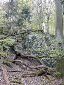 Goldgrubenfelsen