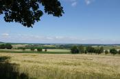 Richtung Kellerwald - NNW etwa