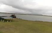 Rietvlei Reserve (webcam)