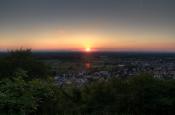 Aussicht auf Weingarten