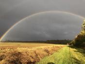 Regenbogen