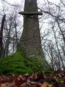 Holzschild auf dem Weg zum Versteck