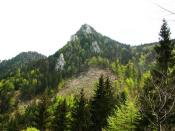 Blick auf den Windhagkogel