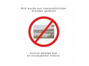 Der eiserne Nagel