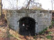 cellar entry