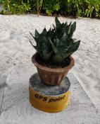 GPS Point