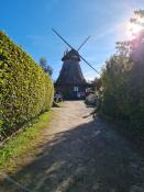 Historisches Eutin: Mühle