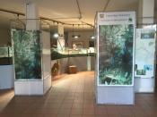 Bio Station Ausstellung