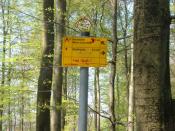 das Schild