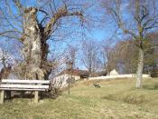 Panorama-Biergarten am Gögerl