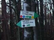 Auf dem richtigen Weg