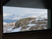 View from the hut (without birds)