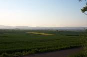 Taunus