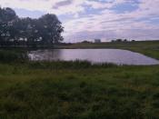 am Dammloch 