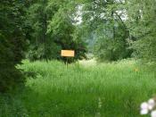 Zugang auf den Waldweg liegt hinter dem orangen Dach (wenn man von Nord kommt)