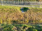 Grasbecken davor