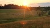 Schäbisches Sommeridyll - Ecocaching, plastikfrei