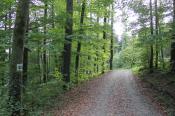 4. hier noch hoch ...