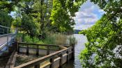 Aussicht am Großen Teich