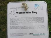 Beispiel zu 3: Baubotanik- Info-Schild mit Landschildkroete