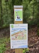 Wegverlauf (Schleife) beachten (nur wer den gesamten Wanderweg laufen möchte)