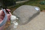 Teufelstein mit Landschildkroete / Stone with Landschildkroete